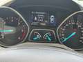 Ford Kuga Kuga 2,0 TDCi Titanium Start/Stop Powershift Aut. AWD Titanium Grau - thumbnail 10