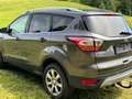 Ford Kuga Kuga 2,0 TDCi Titanium Start/Stop Powershift Aut. AWD Titanium Grau - thumbnail 12
