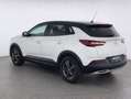 Opel Grandland X Design Line 1.2*SHZ*RFK*AHK*uvm White - thumbnail 5