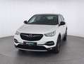 Opel Grandland X Design Line 1.2*SHZ*RFK*AHK*uvm White - thumbnail 1