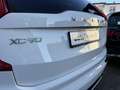 Volvo XC90 R Design AWD Luftfederung AHK LED Bowers&Wilkins S Blanco - thumbnail 32