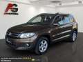 Volkswagen Tiguan 2,0 TDI 4Motion BlueMotion/Xenon/Alcantara/SHZ/PDC Braun - thumbnail 1