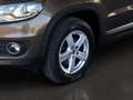 Volkswagen Tiguan 2,0 TDI 4Motion BlueMotion/Xenon/Alcantara/SHZ/PDC Braun - thumbnail 10