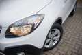 Opel Mokka 1.4 T Cosmo |NAVI|TREKHK|CARPLAY|OPENDAK|LEDER Weiß - thumbnail 30