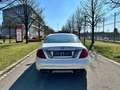 Mercedes-Benz CL 63 AMG Facelift V8 Voll Schiebedach Totwinkel Kam 7G-TRON Grau - thumbnail 5
