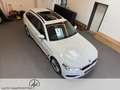 BMW 530 5er - 530 d xDrive M Sport AHK/HUD/PANORAMA Weiß - thumbnail 9