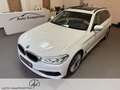 BMW 530 5er - 530 d xDrive M Sport AHK/HUD/PANORAMA Weiß - thumbnail 2