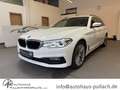 BMW 530 5er - 530 d xDrive M Sport AHK/HUD/PANORAMA Weiß - thumbnail 1