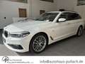 BMW 530 5er - 530 d xDrive M Sport AHK/HUD/PANORAMA Wit - thumbnail 1