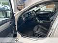 BMW 530 5er - 530 d xDrive M Sport AHK/HUD/PANORAMA Wit - thumbnail 8