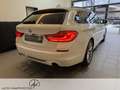 BMW 530 5er - 530 d xDrive M Sport AHK/HUD/PANORAMA Weiß - thumbnail 5