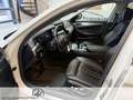 BMW 530 5er - 530 d xDrive M Sport AHK/HUD/PANORAMA Weiß - thumbnail 10
