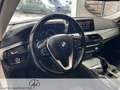 BMW 530 5er - 530 d xDrive M Sport AHK/HUD/PANORAMA Wit - thumbnail 10