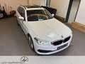 BMW 530 5er - 530 d xDrive M Sport AHK/HUD/PANORAMA Weiß - thumbnail 8