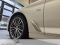 BMW 530 5er - 530 d xDrive M Sport AHK/HUD/PANORAMA Weiß - thumbnail 27