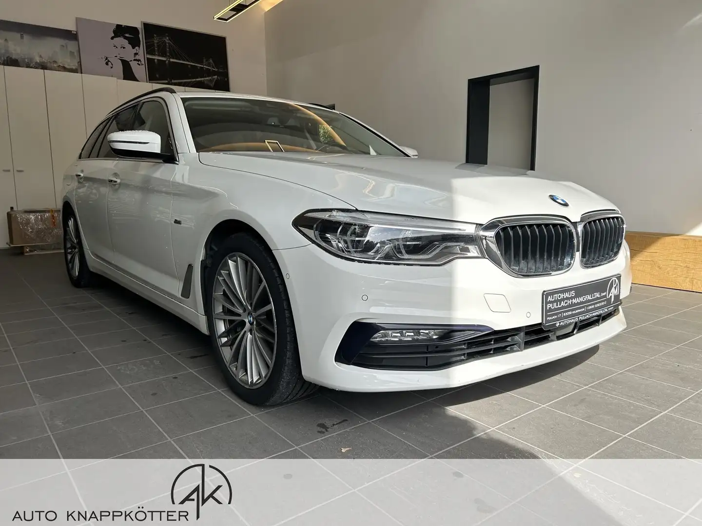 BMW 530 5er - 530 d xDrive M Sport AHK/HUD/PANORAMA Wit - 2