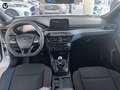 Ford Focus 1.0 Ecoboost MHEV 92kW ST-Line Blanco - thumbnail 10