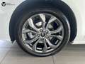 Ford Focus 1.0 Ecoboost MHEV 92kW ST-Line Blanco - thumbnail 17