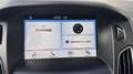 Ford Focus Wagon 125pk Titanium CARPLAY | CLIMA | STOELVERWAR Blau - thumbnail 15