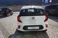 Kia Picanto 1.0 12V 5 porte X Line Bianco - thumbnail 3