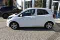 Kia Picanto 1.0 12V 5 porte X Line Bianco - thumbnail 2