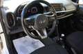 Kia Picanto 1.0 12V 5 porte X Line Bianco - thumbnail 7