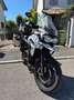 Triumph Tiger Explorer 1200 Bianco - thumbnail 7