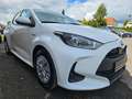 Toyota Yaris Hybrid 1.5 Business Edition | TüV neu Weiß - thumbnail 2