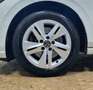 Volkswagen Golf Variant Golf Variant 2.0 TDI SCR Life Bianco - thumbnail 15