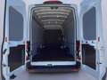Ford Transit Kasten 2.0l 350L4 Trend *EXPRESS-LINE*TECH Wit - thumbnail 19