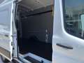 Ford Transit Kasten 2.0l 350L4 Trend *EXPRESS-LINE*TECH Wit - thumbnail 29
