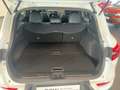 Renault Kadjar 1.3 TCe 140 Black Edition Weiß - thumbnail 19