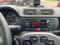 Fiat Panda Waze Gelb - thumbnail 13