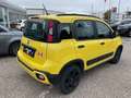 Fiat Panda Waze Gelb - thumbnail 6