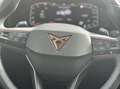 CUPRA Formentor Formentor 2.0 tdi 4drive dsg Grigio - thumbnail 18