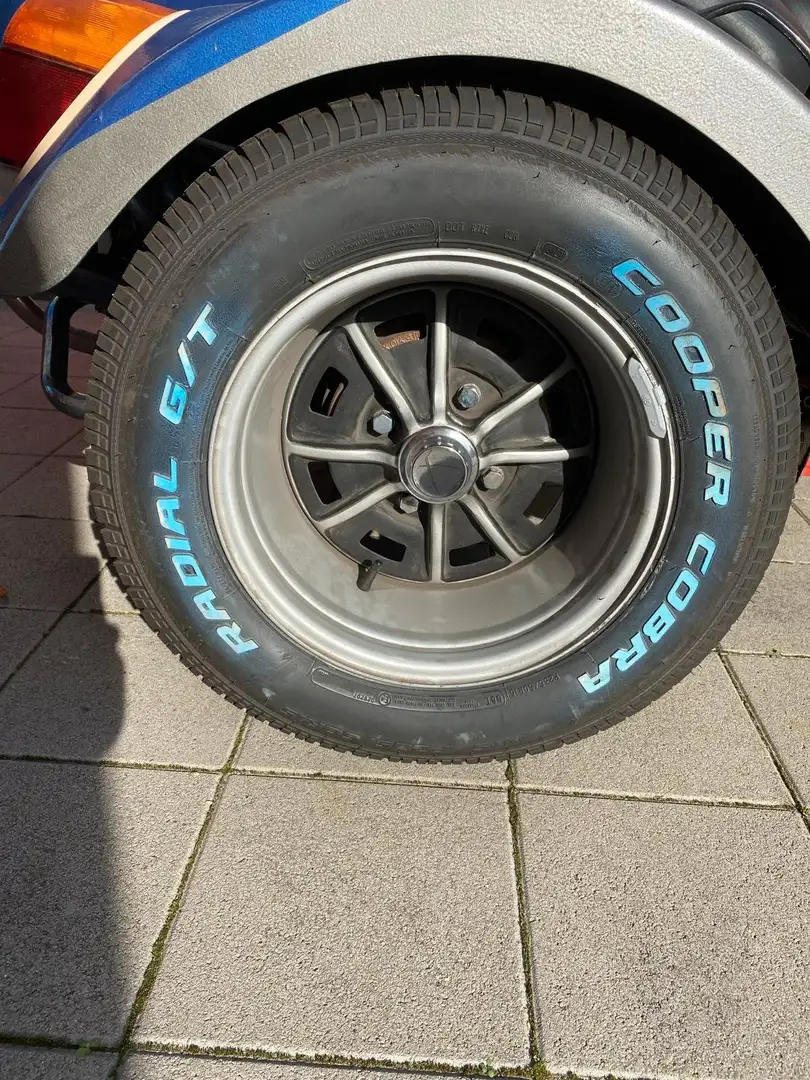 Trike Fecht MF1 Bleu - 2