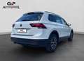 Volkswagen Tiguan Comfortline  4Motion DSG AHK Rückkamera Weiß - thumbnail 5