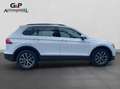 Volkswagen Tiguan Comfortline  4Motion DSG AHK Rückkamera Weiß - thumbnail 3