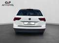 Volkswagen Tiguan Comfortline  4Motion DSG AHK Rückkamera Weiß - thumbnail 8