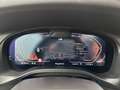 BMW X4 xDrive20i M-Paket Aut. / AHK / Laser / PANO Schwarz - thumbnail 15