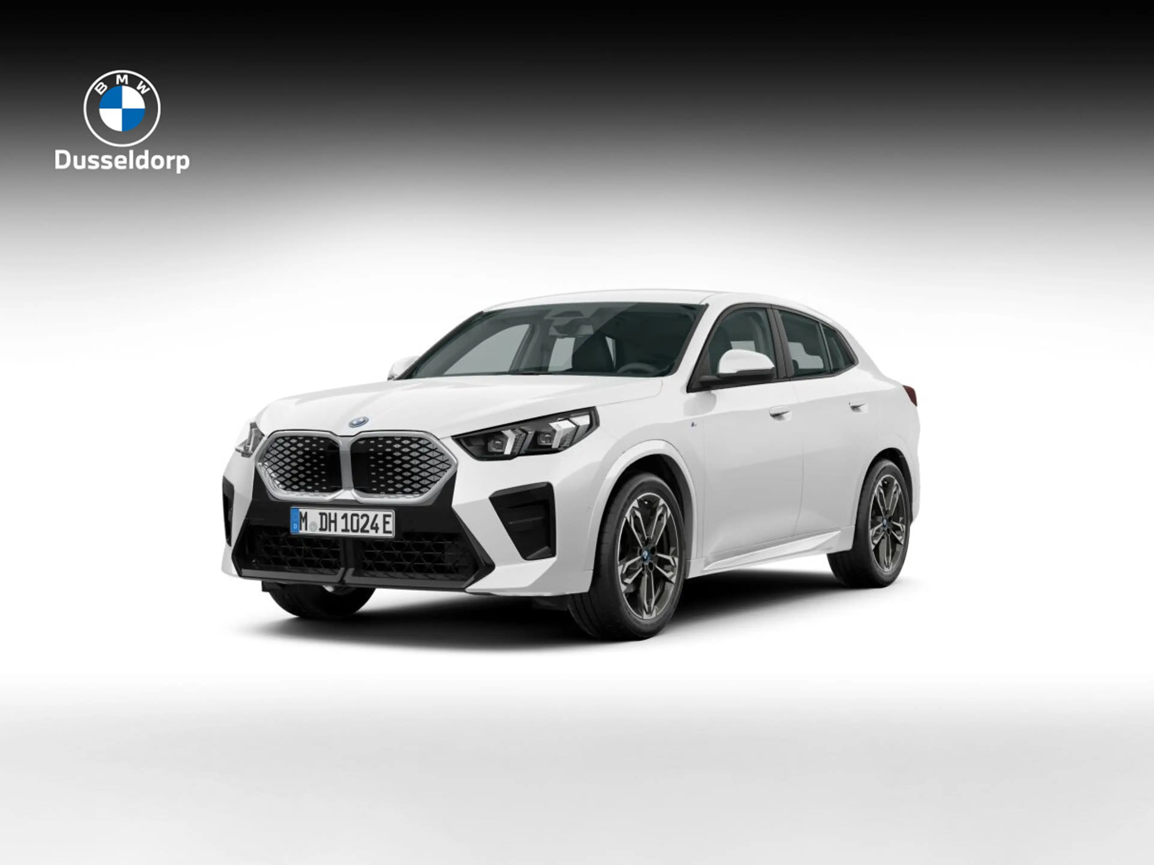 BMW iX2 eDrive20 67 kWh **Vraag naar levertijd**