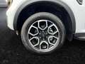 Ford Ranger Wildtrak 2,0L *inkl. Rollo***Raptor-Grill* Weiß - thumbnail 19