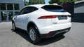Jaguar E-Pace E-PACE D180 AWD*LED*INCONTROL*NAVI*KAMERA* Weiß - thumbnail 12