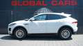Jaguar E-Pace E-PACE D180 AWD*LED*INCONTROL*NAVI*KAMERA* Weiß - thumbnail 16