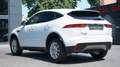 Jaguar E-Pace E-PACE D180 AWD*LED*INCONTROL*NAVI*KAMERA* Weiß - thumbnail 2