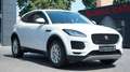 Jaguar E-Pace E-PACE D180 AWD*LED*INCONTROL*NAVI*KAMERA* Weiß - thumbnail 30