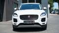 Jaguar E-Pace E-PACE D180 AWD*LED*INCONTROL*NAVI*KAMERA* Weiß - thumbnail 13