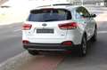 Kia Sorento 2.2 PLATINUM 4x4 Leder/Navi/Kam/Pano Blanc - thumbnail 7