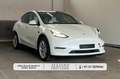 Tesla Model Y |Long Range|Dual AWD|ACC|CAM|UNFALL Weiß - thumbnail 1