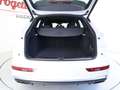 Audi Q5 Q5 40 tdi mhev S line Plus quattro s-tronic ADAS Blanc - thumbnail 19